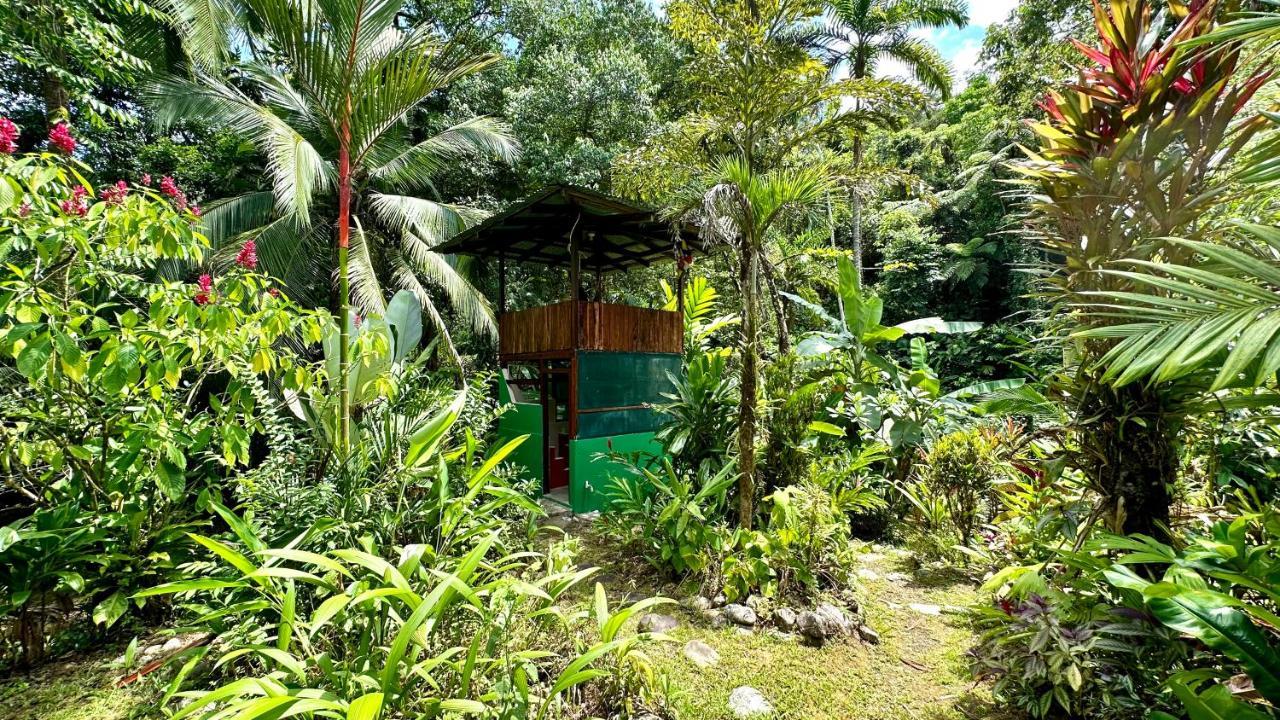Casa Aire Libre Villa Puerto Jiménez Kültér fotó